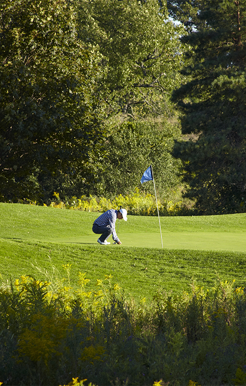 Golfer on a local golf course
